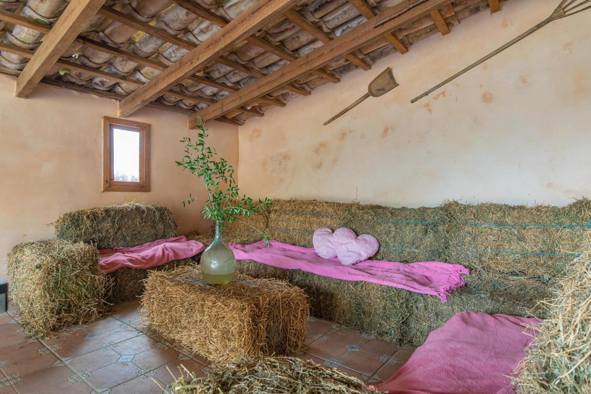 Potdir Villa Ariany
