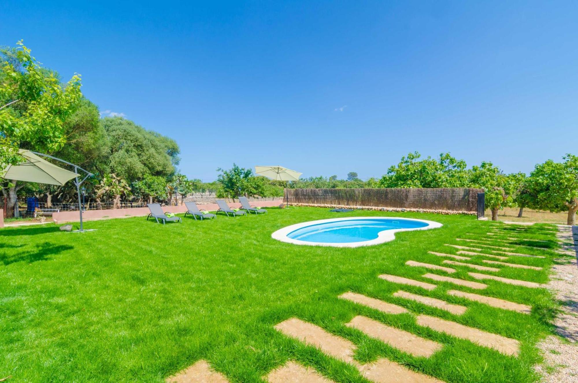 Potdir Villa Ariany
